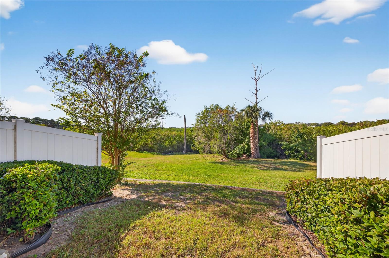 8128 MUDDY PINES PL, TAMPA, FL — photo 28