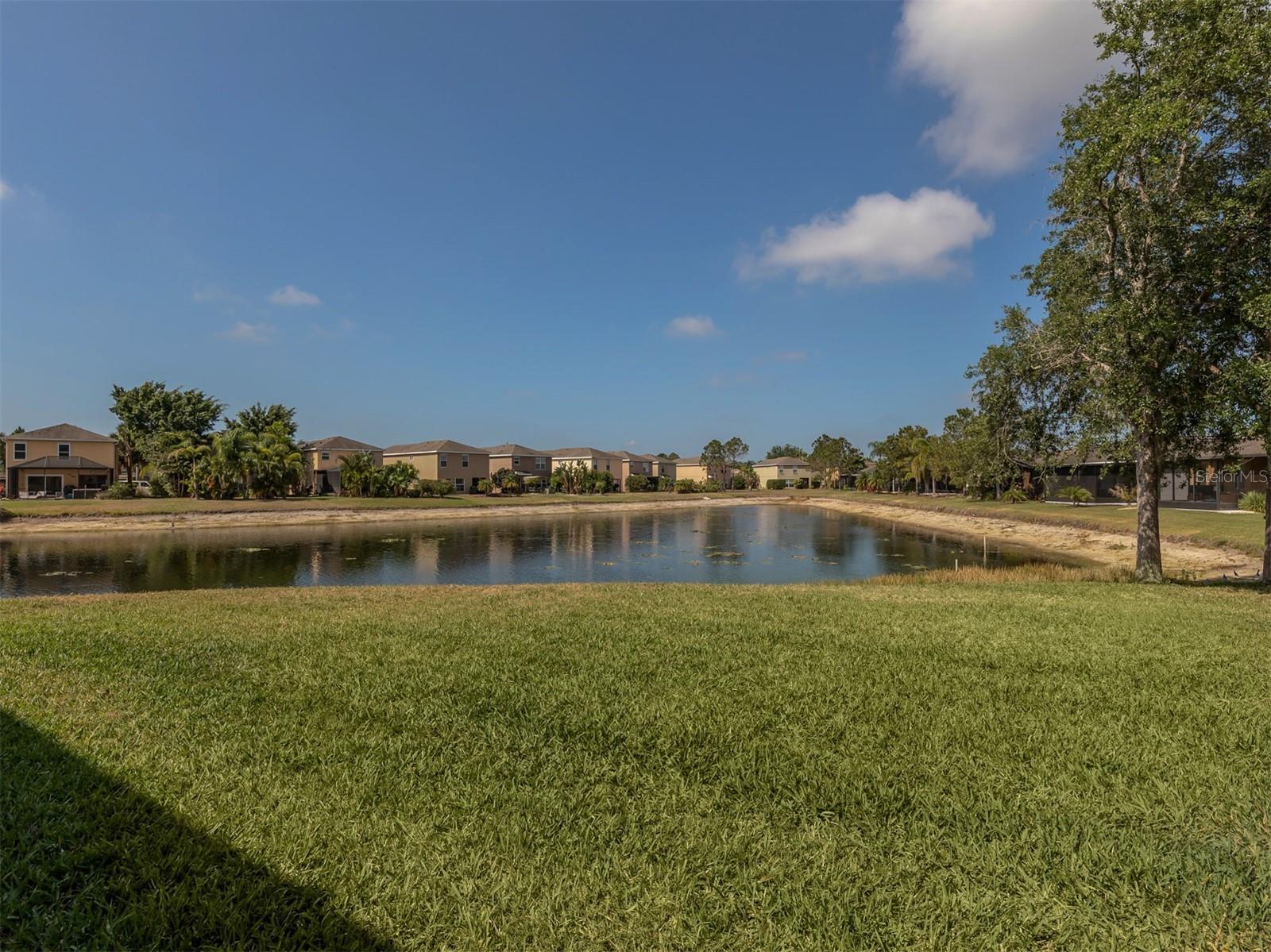 12905 TIGERS EYE DR, VENICE, FL — photo 3