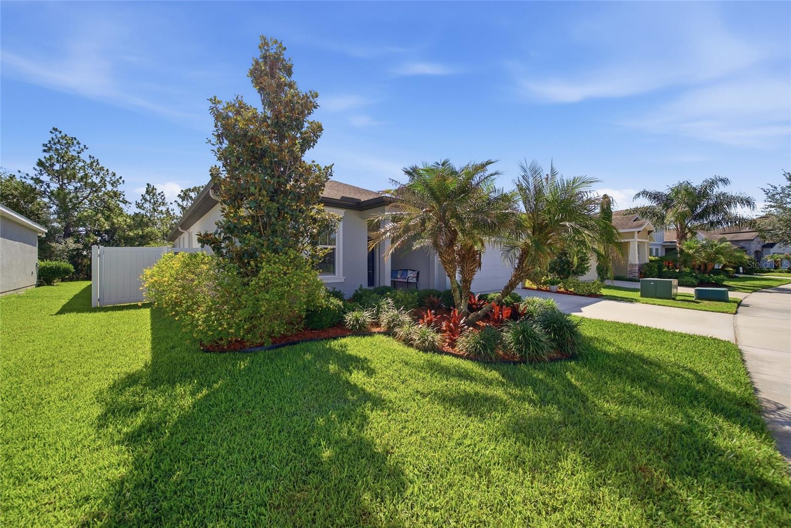 5234 TURTLE BAY DR, WESLEY CHAPEL, FL — photo 2