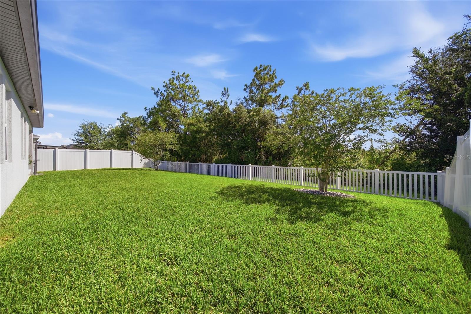 5234 TURTLE BAY DR, WESLEY CHAPEL, FL — photo 5