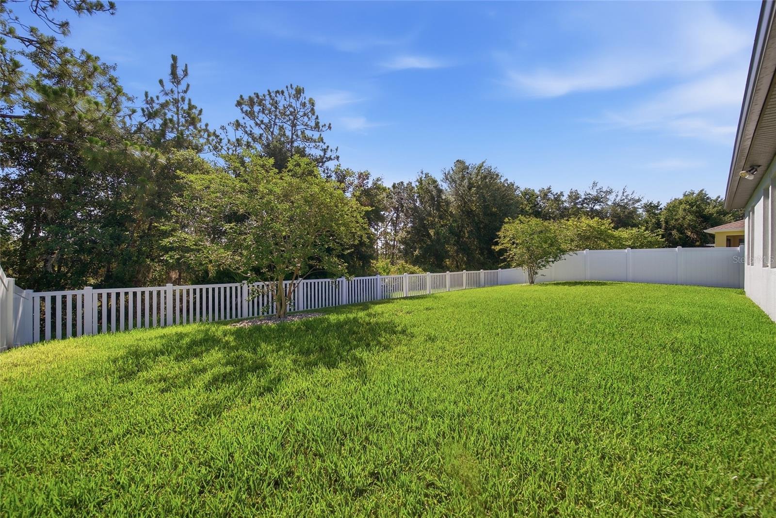 5234 TURTLE BAY DR, WESLEY CHAPEL, FL — photo 36