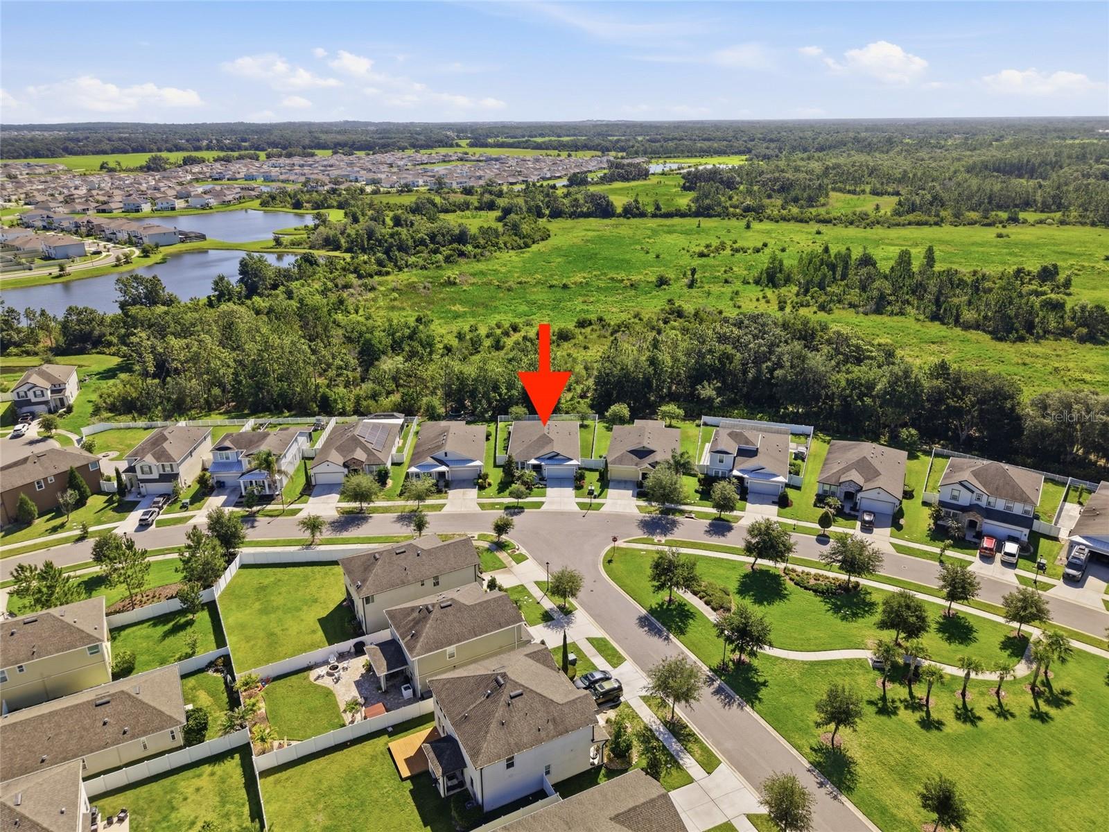 5234 TURTLE BAY DR, WESLEY CHAPEL, FL — photo 41