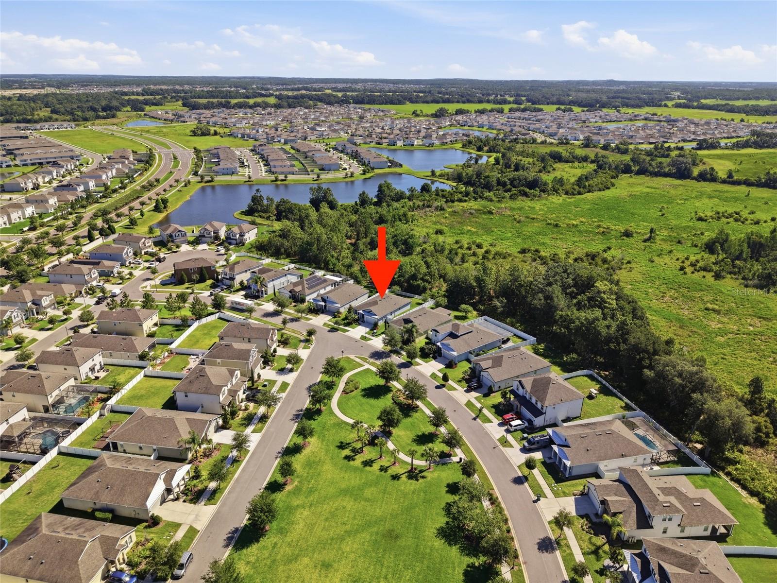 5234 TURTLE BAY DR, WESLEY CHAPEL, FL — photo 42
