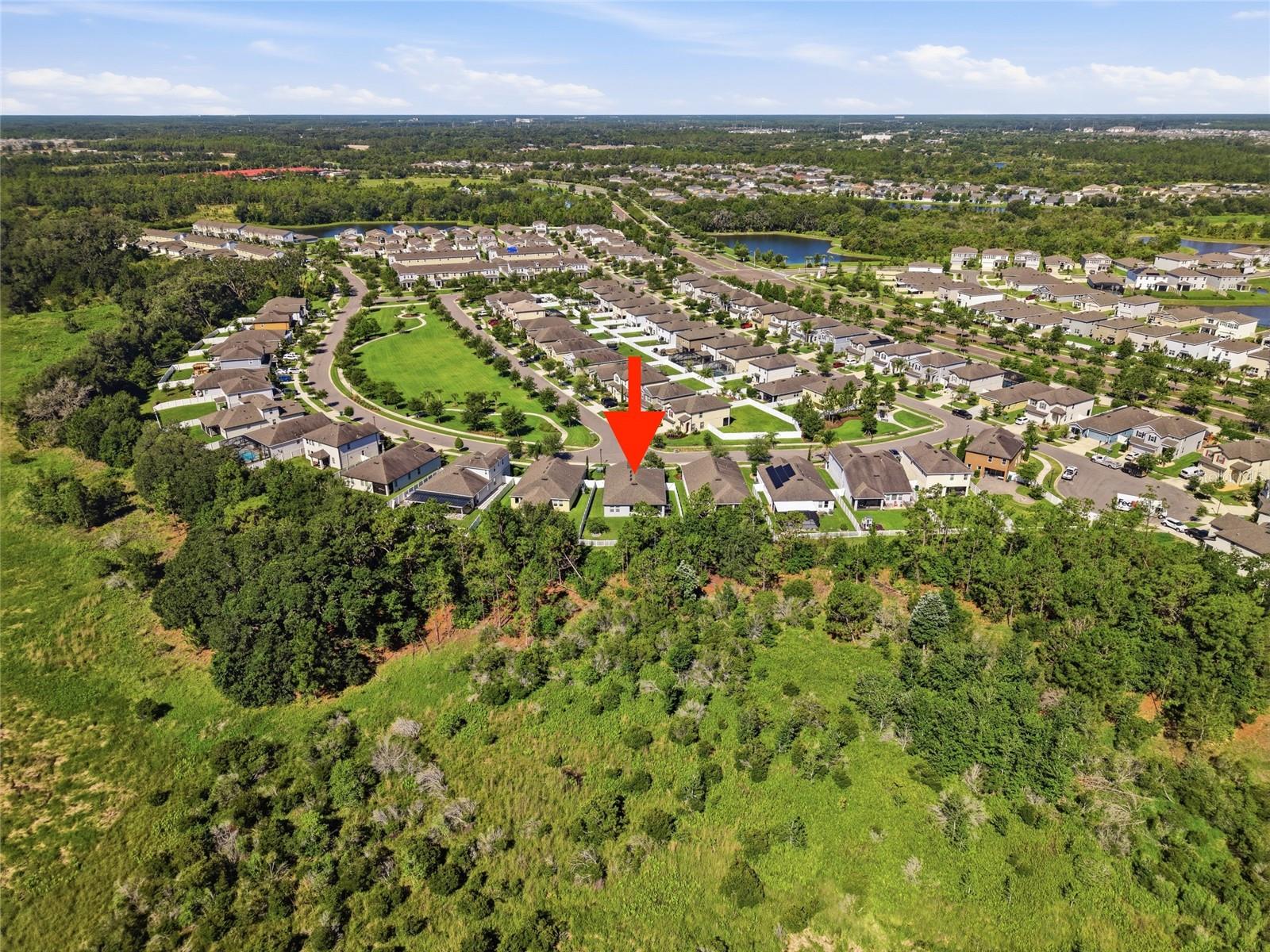 5234 TURTLE BAY DR, WESLEY CHAPEL, FL — photo 43