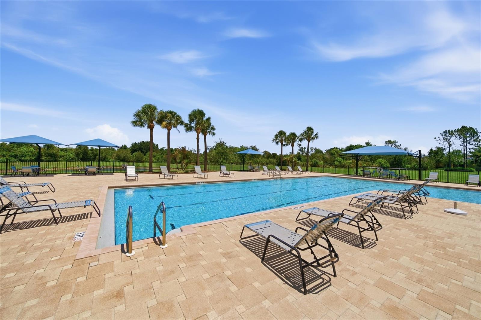 5234 TURTLE BAY DR, WESLEY CHAPEL, FL — photo 46