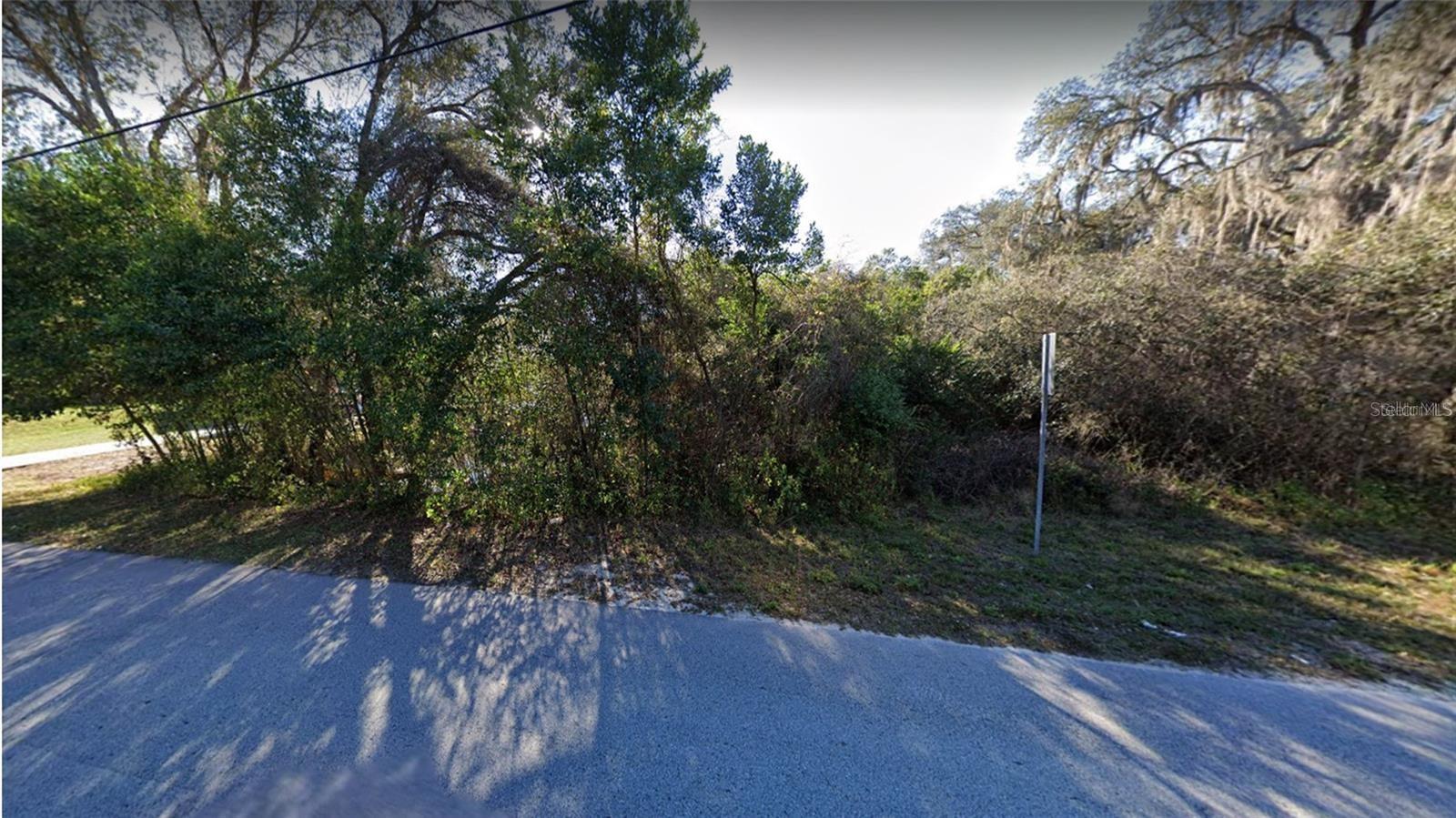 RIDGE MANOR BLVD, DADE CITY, FL — photo 3
