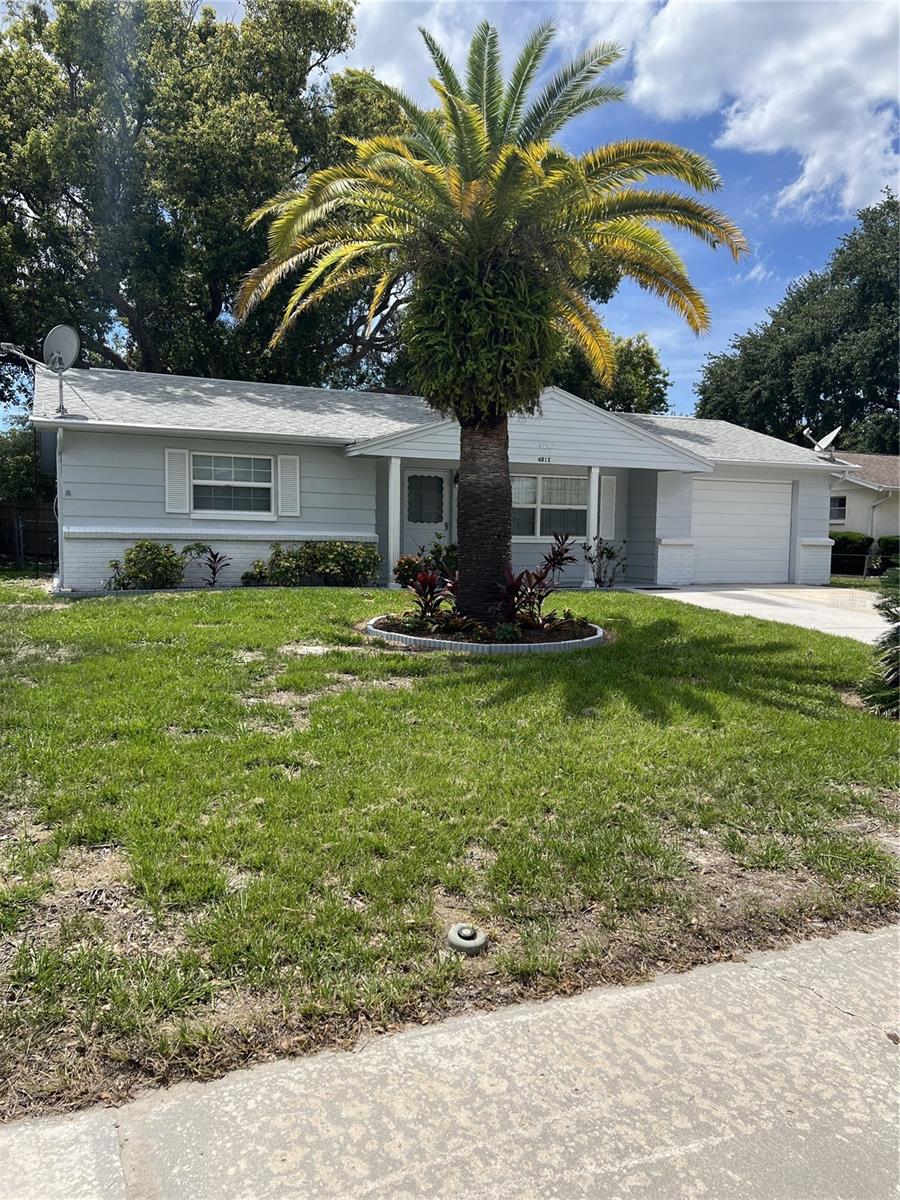 4813 DOGWOOD ST, NEW PORT RICHEY, FL — photo 31