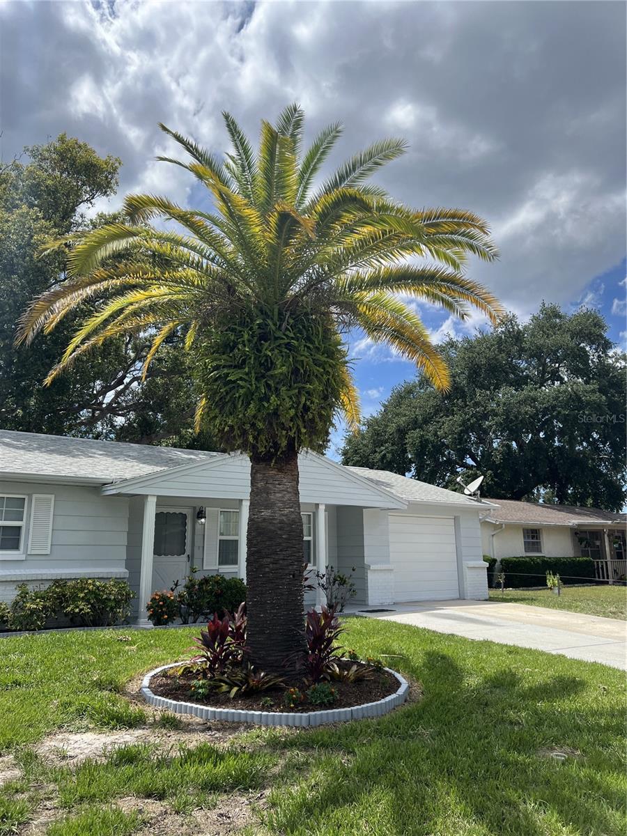 4813 DOGWOOD ST, NEW PORT RICHEY, FL — photo 32