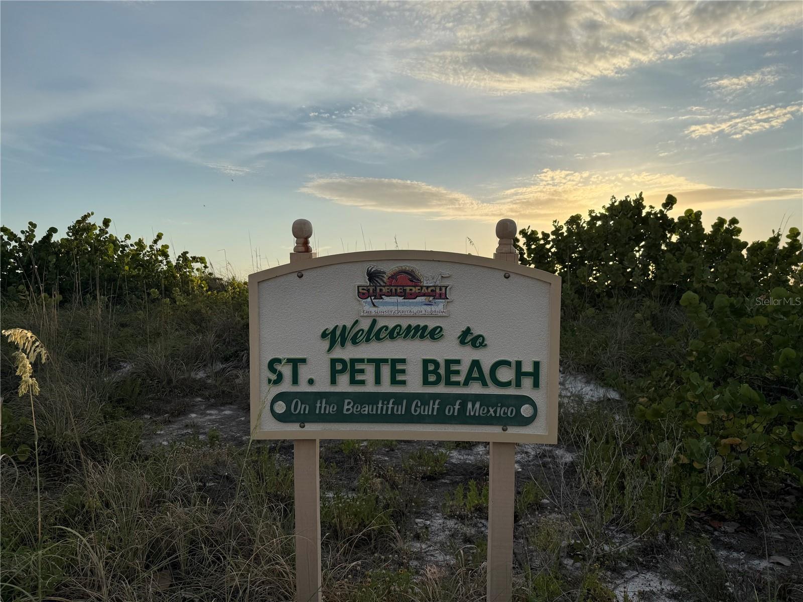 311 S ISLE DR, ST PETE BEACH, FL — photo 91