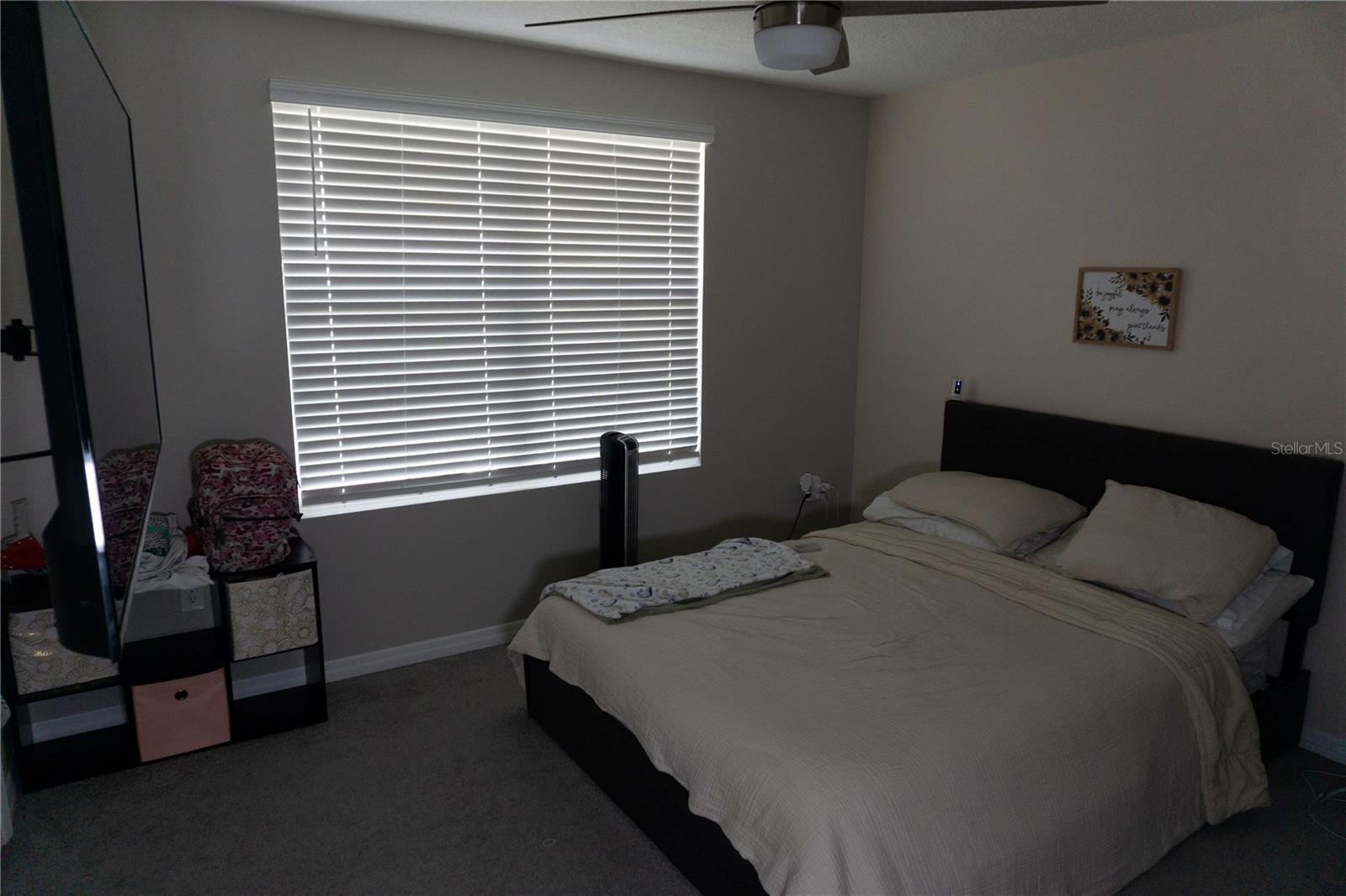 7819 SAIL CLOVER LN, ZEPHYRHILLS, FL — photo 10