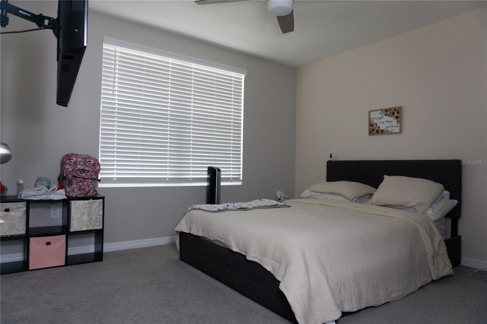 7819 SAIL CLOVER LN, ZEPHYRHILLS, FL — photo 11
