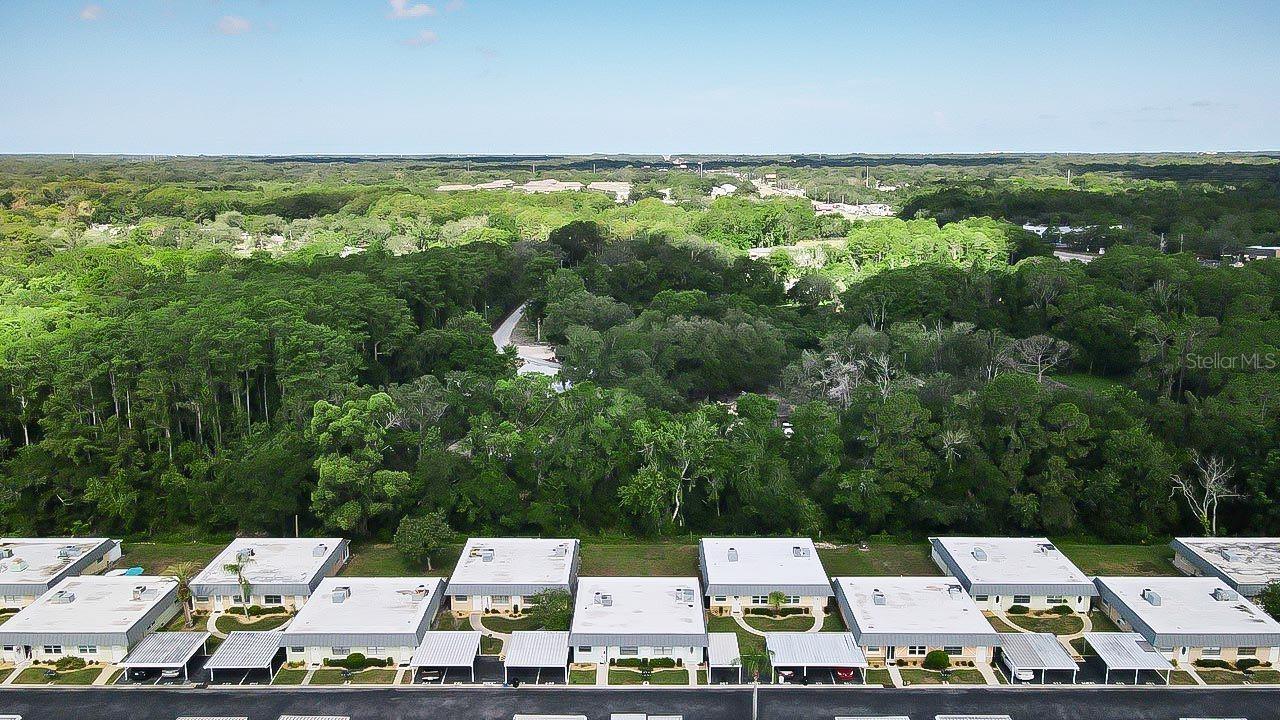 11905 BAYONET LN, NEW PORT RICHEY, FL — photo 34