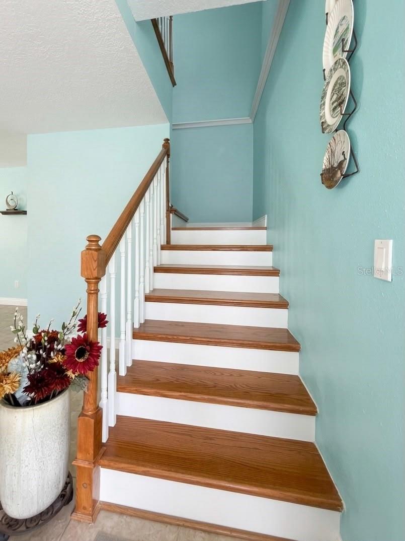 6648 TIMBERCOVE LN #6648, NEW PORT RICHEY, FL — photo 10