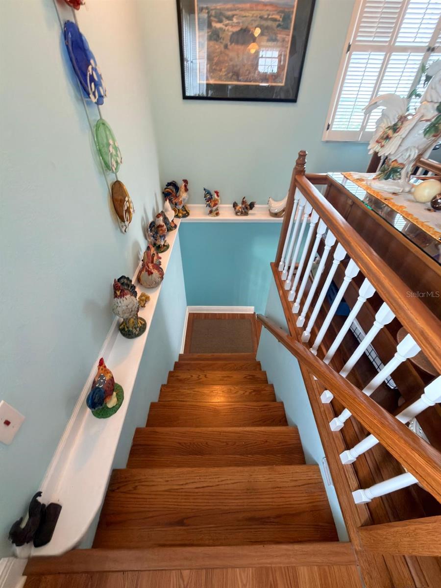 6648 TIMBERCOVE LN #6648, NEW PORT RICHEY, FL — photo 11