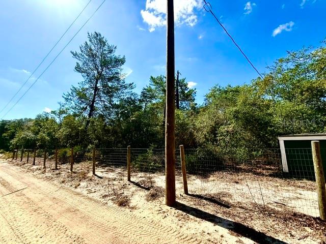 15920 NE 236TH LN, FORT MC COY, FL — photo 22
