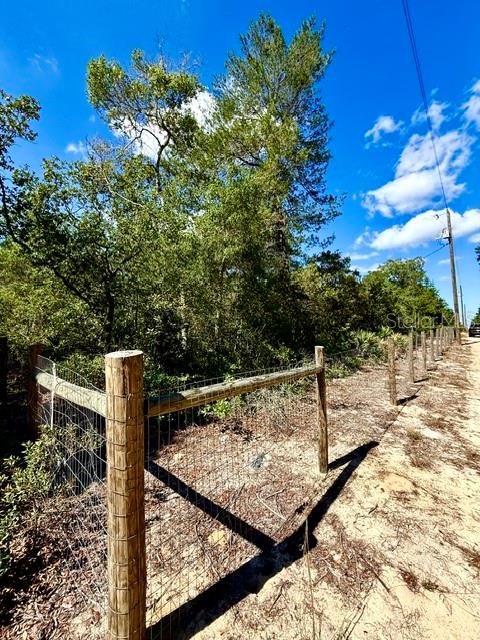 15920 NE 236TH LN, FORT MC COY, FL — photo 23