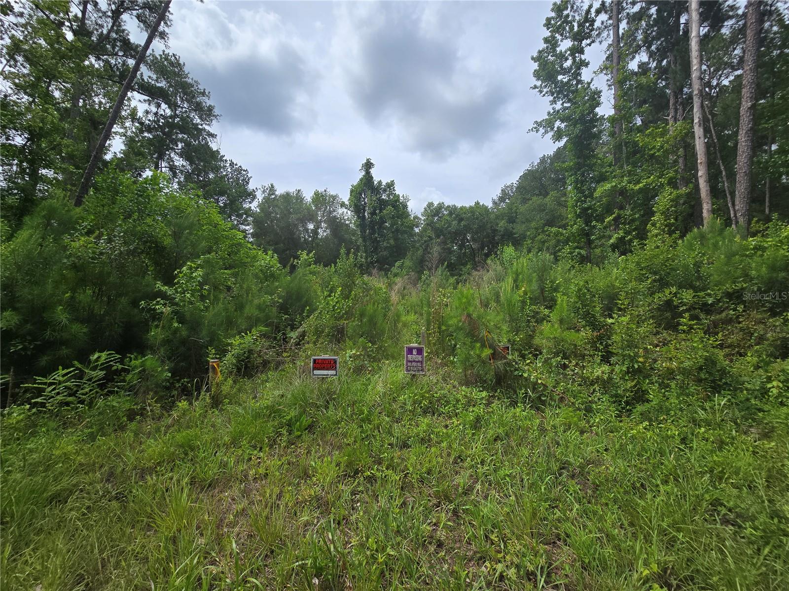 316 SEQUOIA DR, OCKLAWAHA, FL