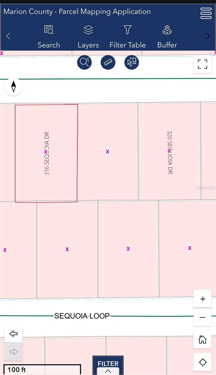 316 SEQUOIA DR, OCKLAWAHA, FL — photo 3