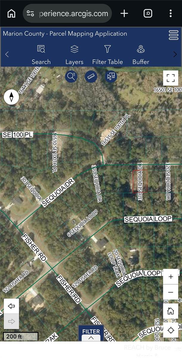 316 SEQUOIA DR, OCKLAWAHA, FL — photo 4