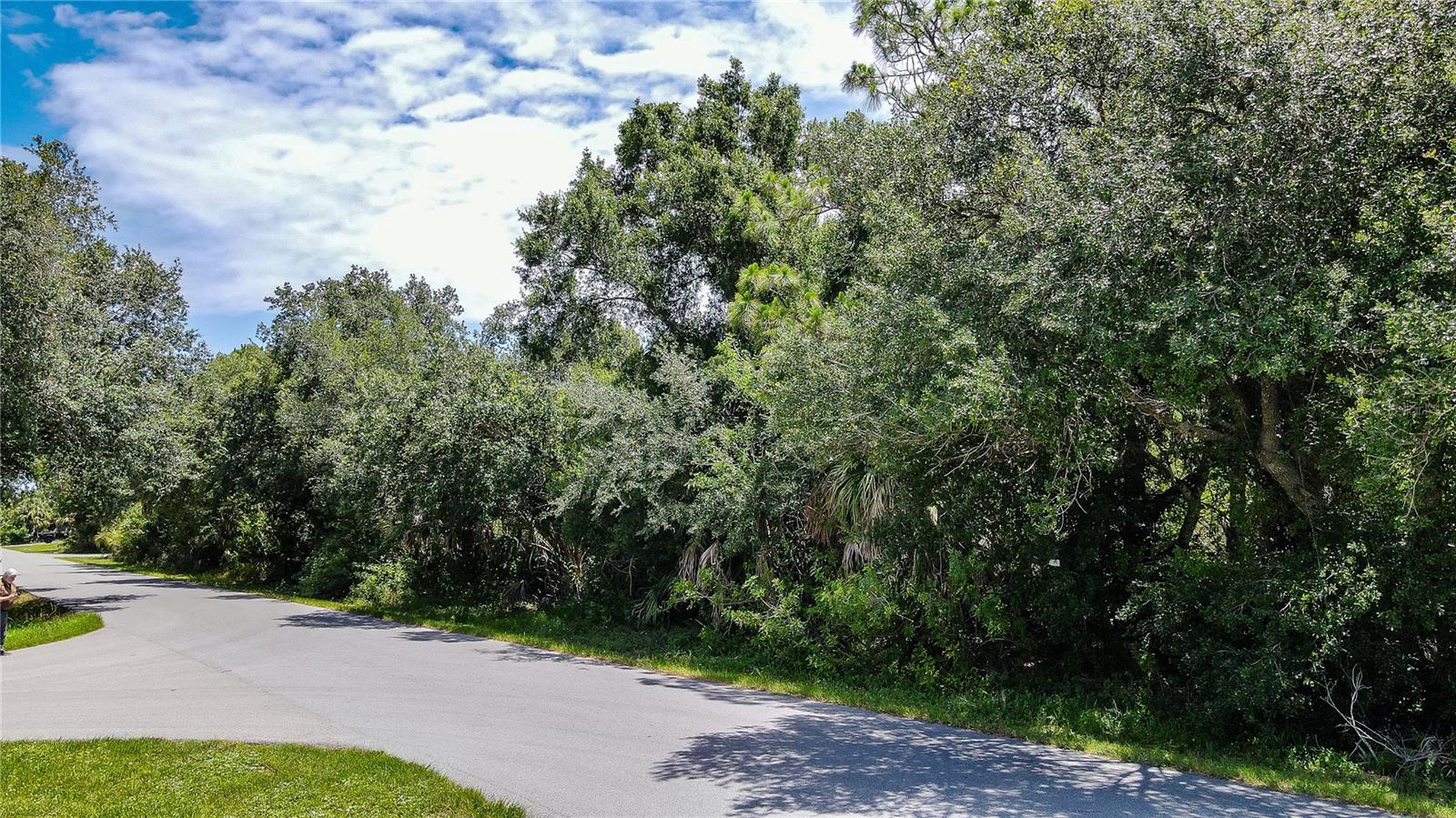 3388 HAMPTON ST, PORT CHARLOTTE, FL — photo 7