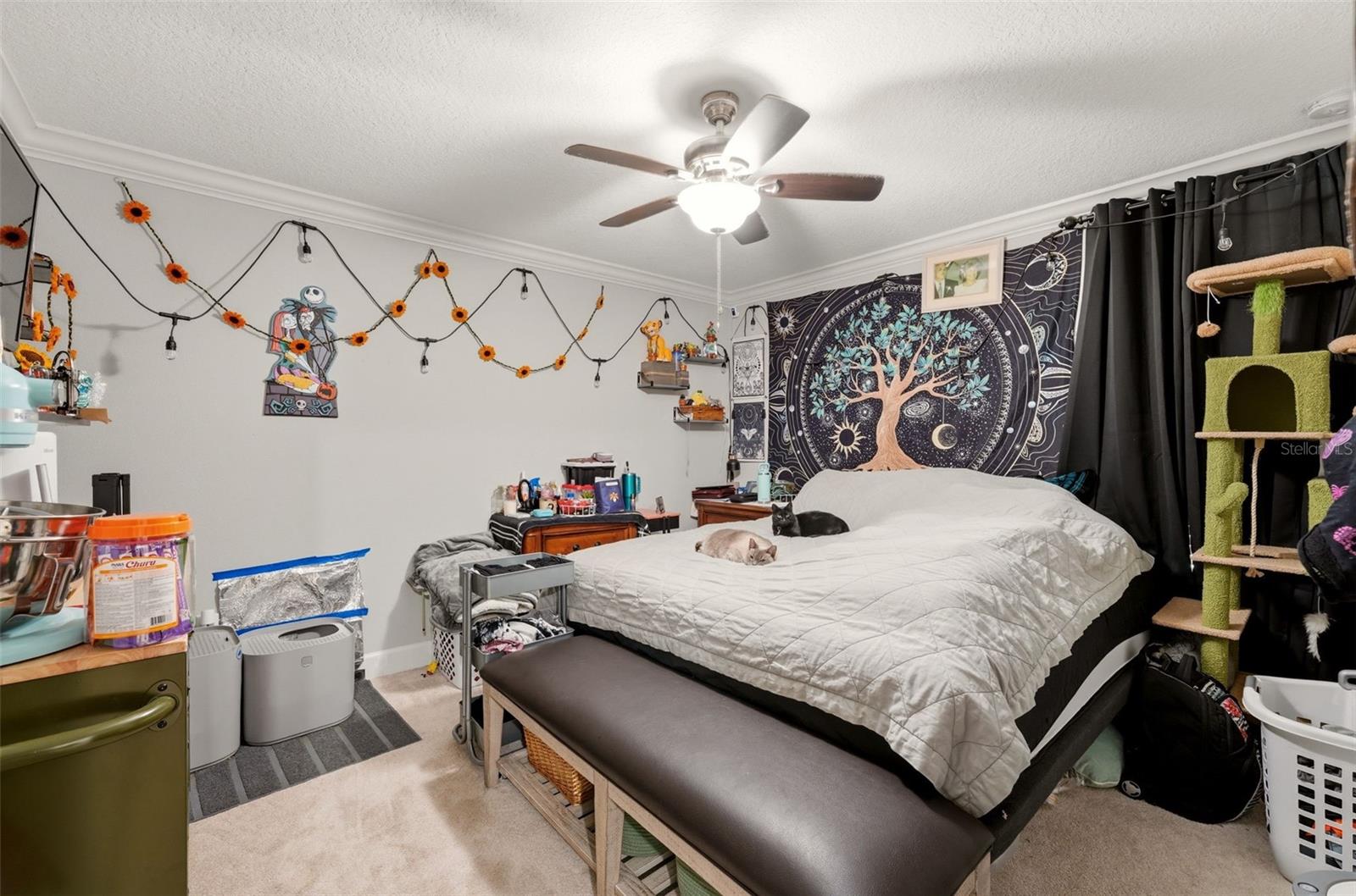6755 TROPICAIRE BLVD, NORTH PORT, FL — photo 27