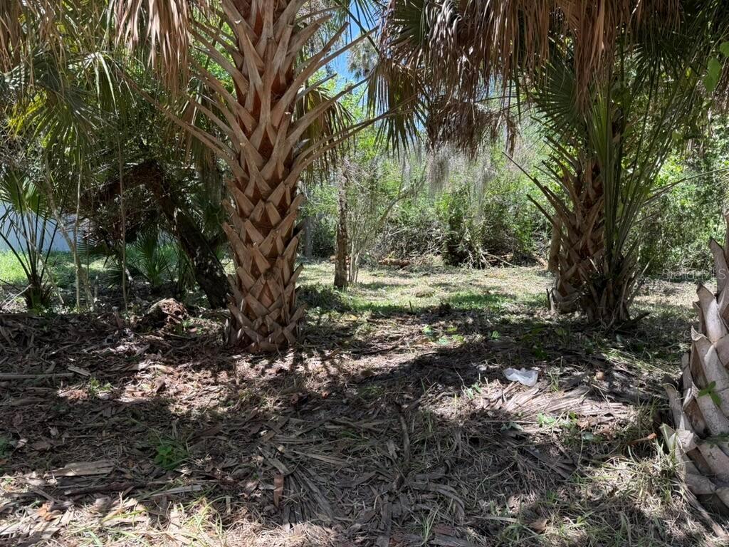 110 OAK ST, FLAGLER BEACH, FL — photo 2