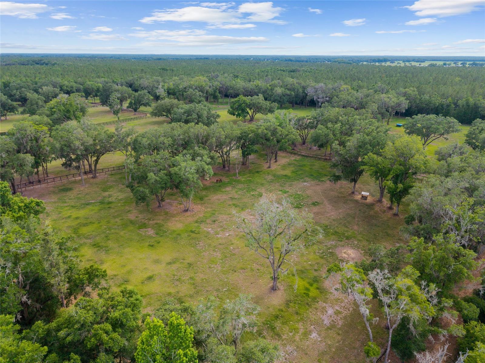 11140 NW 160TH AVE, MORRISTON, FL — photo 46