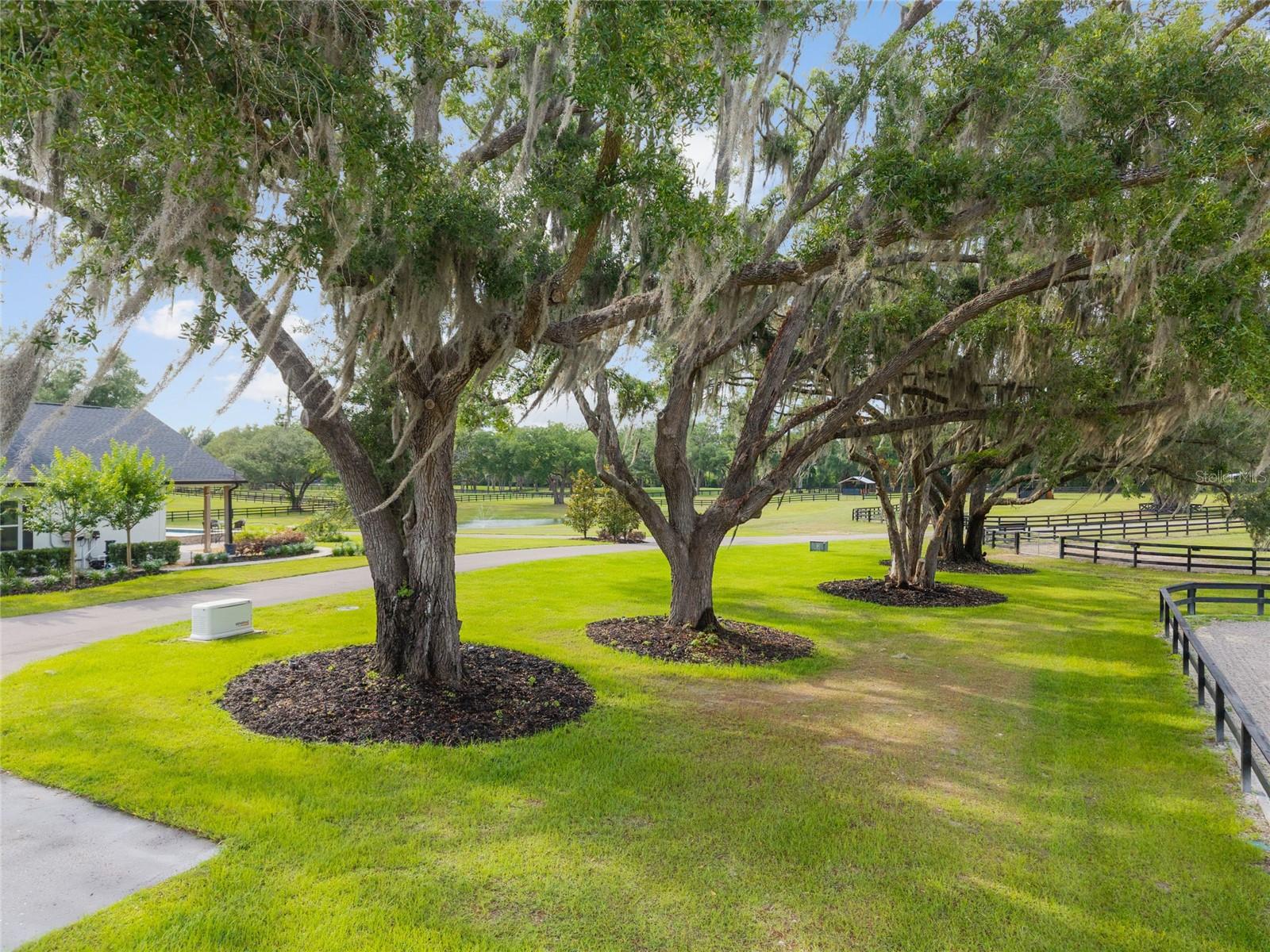 11140 NW 160TH AVE, MORRISTON, FL — photo 49