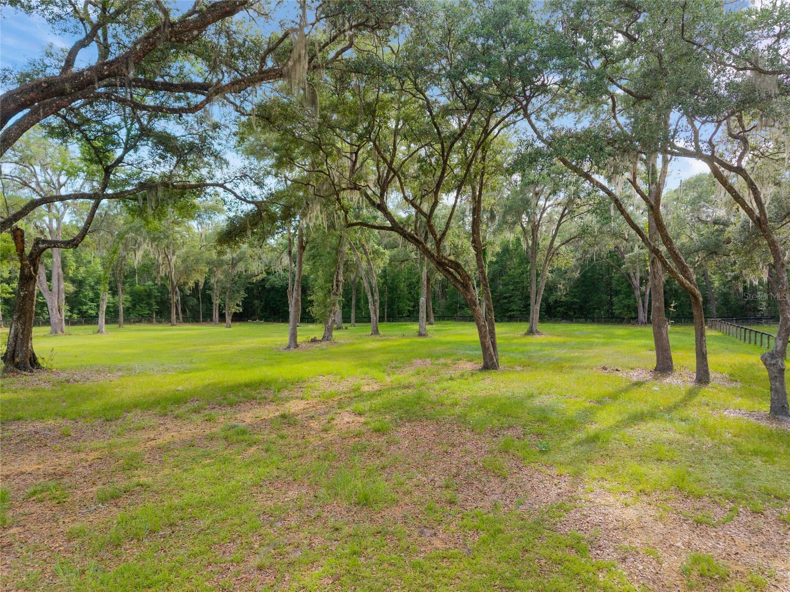 11140 NW 160TH AVE, MORRISTON, FL — photo 51
