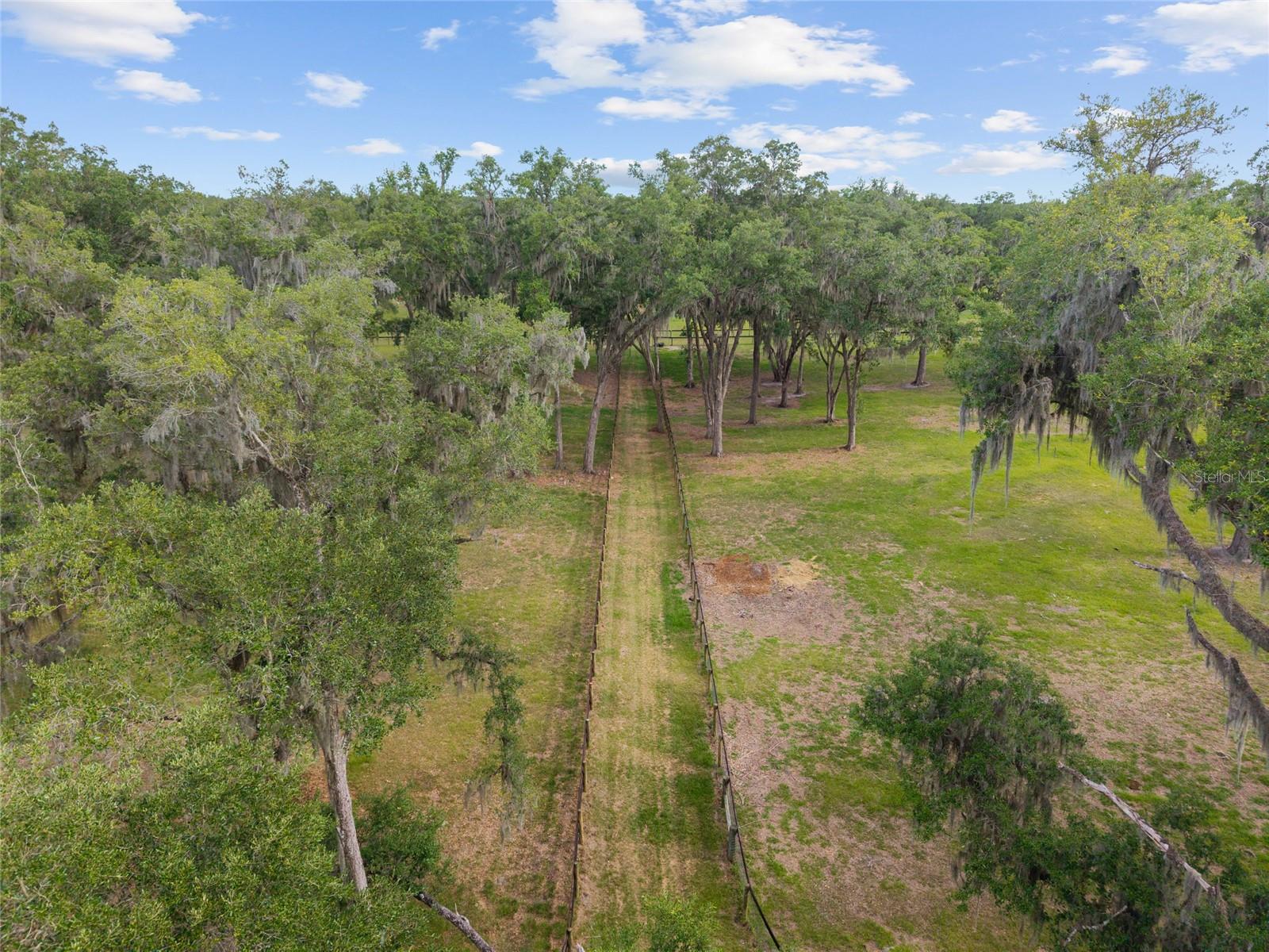 11140 NW 160TH AVE, MORRISTON, FL — photo 73