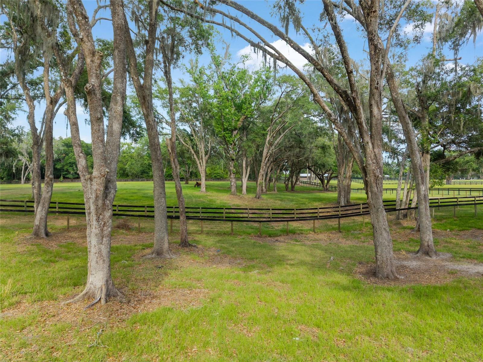 11140 NW 160TH AVE, MORRISTON, FL — photo 84