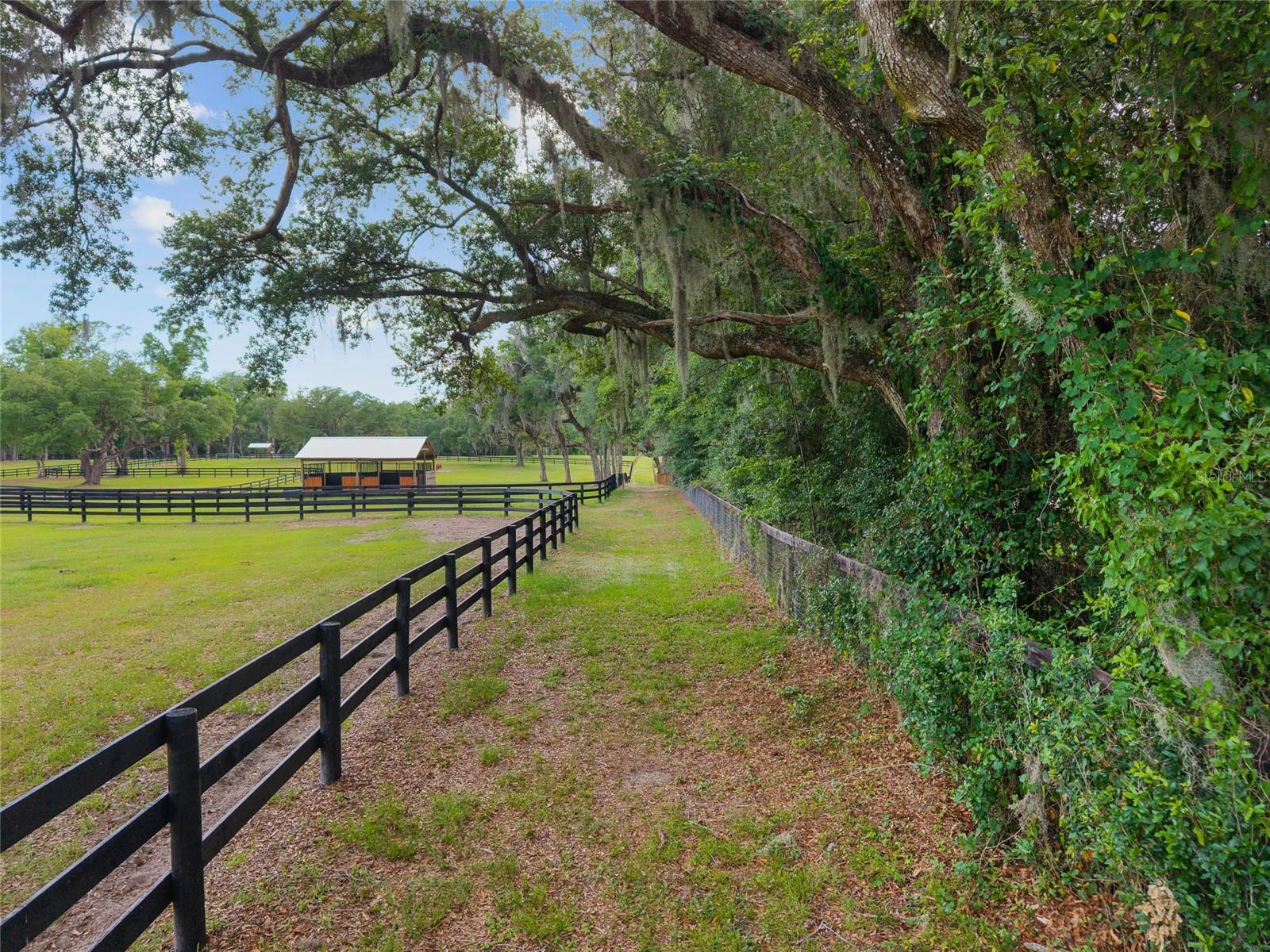 11140 NW 160TH AVE, MORRISTON, FL — photo 90