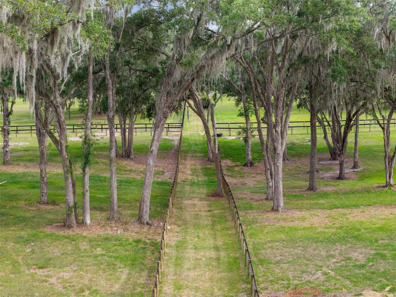 11140 NW 160TH AVE, MORRISTON, FL — photo 91