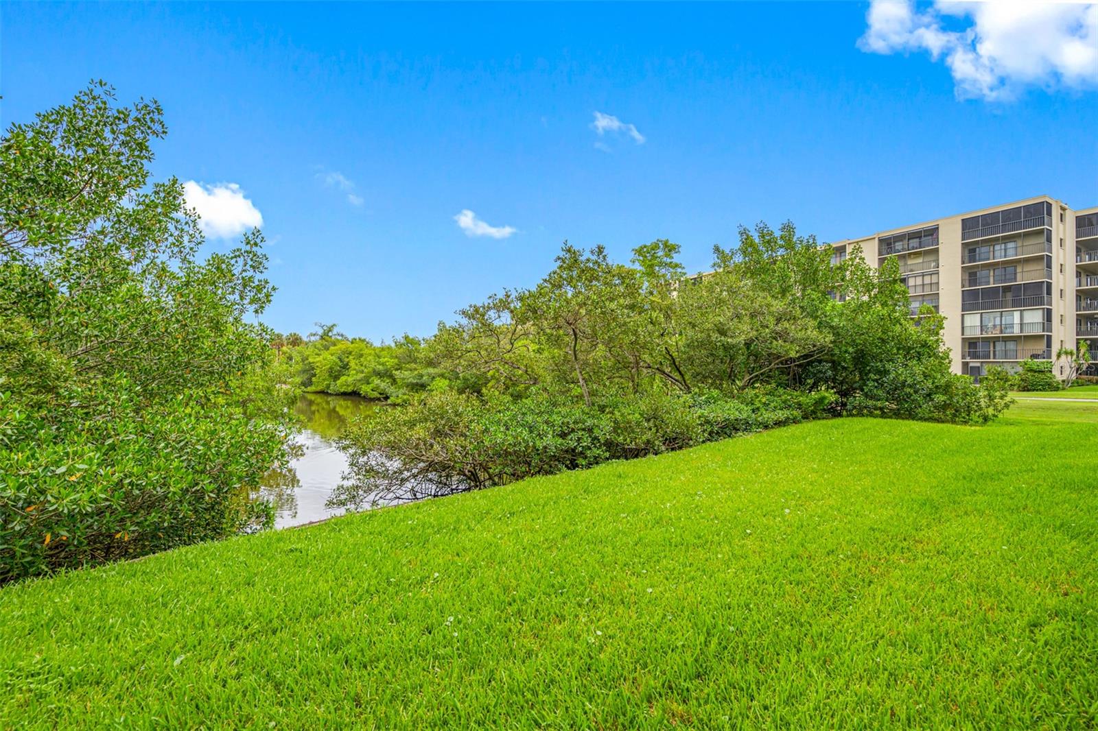 900 COVE CAY DR #1F, CLEARWATER, FL