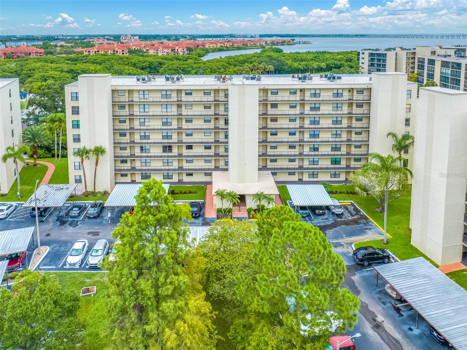 900 COVE CAY DR #1F, CLEARWATER, FL — photo 58