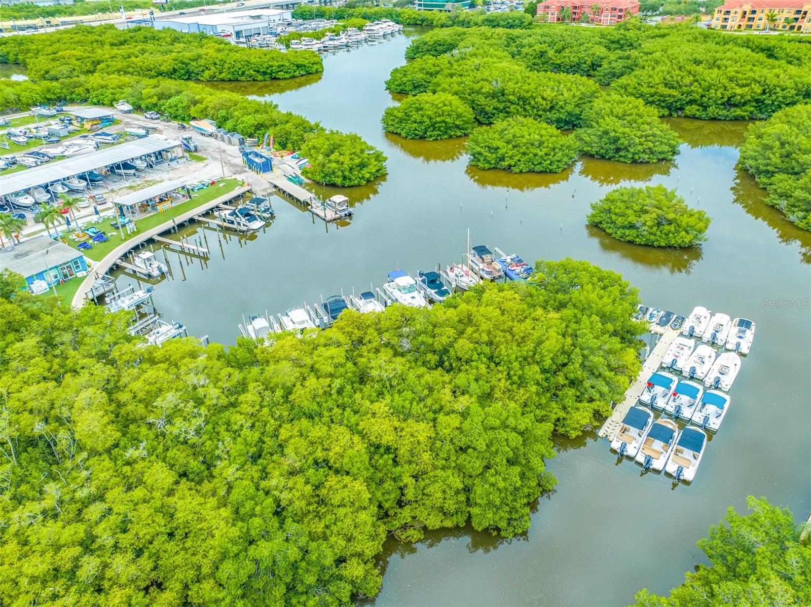 900 COVE CAY DR #1F, CLEARWATER, FL — photo 61
