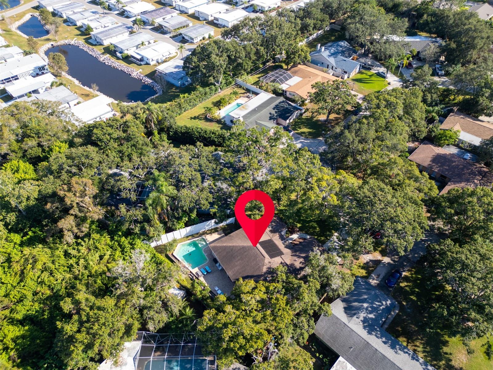 2270 BARBARA DR, CLEARWATER, FL — photo 82