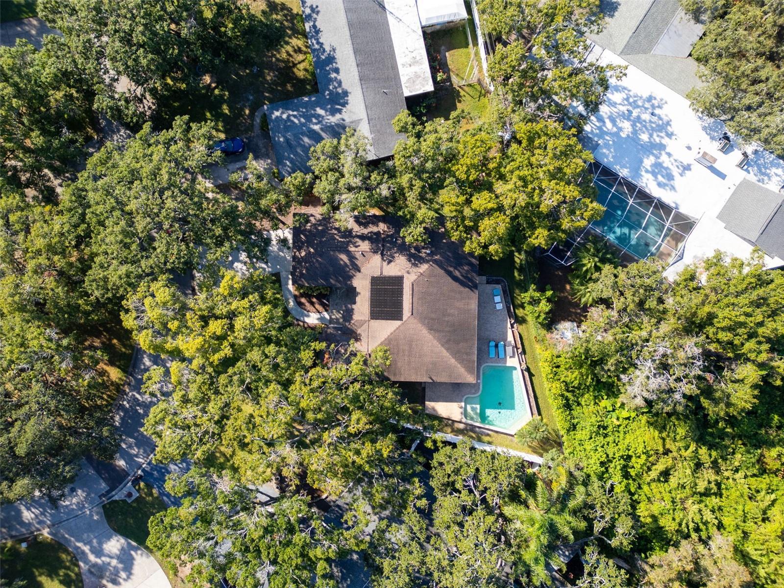 2270 BARBARA DR, CLEARWATER, FL — photo 90