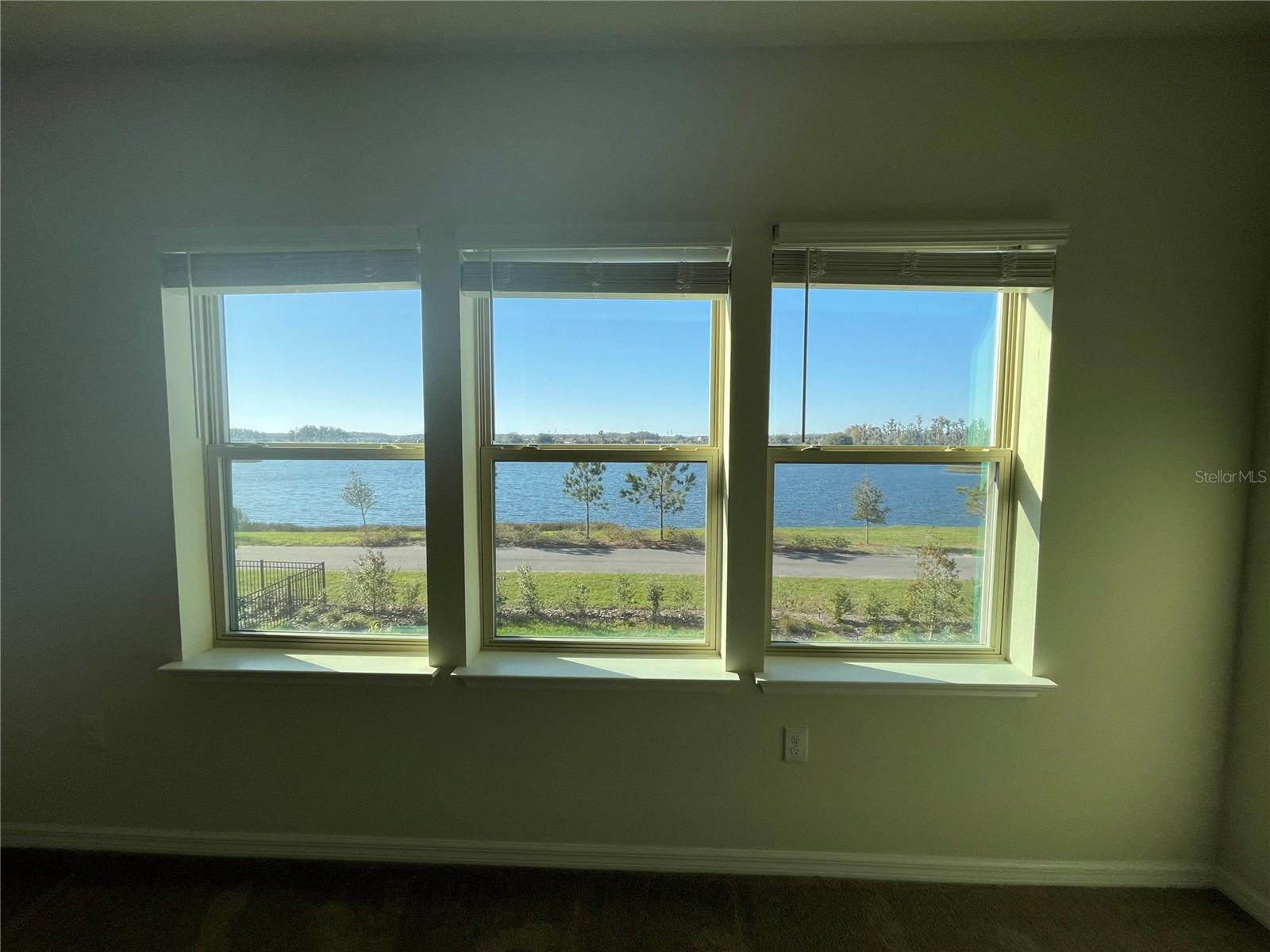 3323 MONROE MEADOWS DR, ODESSA, FL — photo 13