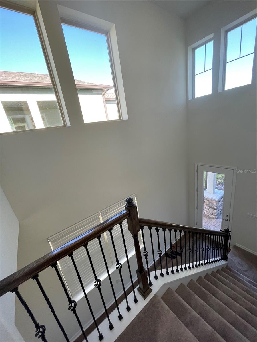 3323 MONROE MEADOWS DR, ODESSA, FL — photo 15