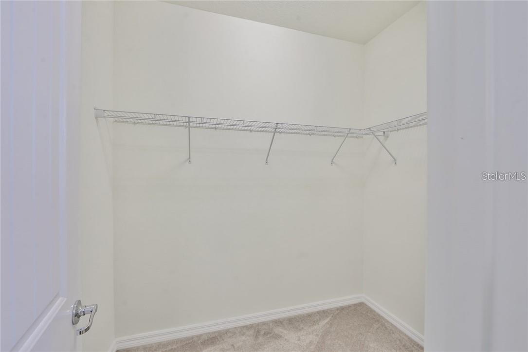 3323 MONROE MEADOWS DR, ODESSA, FL — photo 27