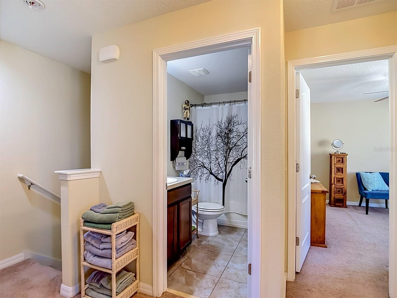 9838 TRUMPET VINE LOOP, TRINITY, FL — photo 21