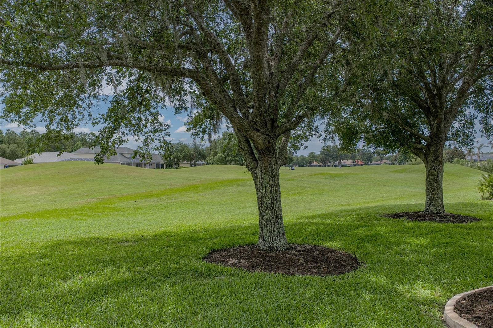 5064 GEVALIA DR, BROOKSVILLE, FL — photo 49