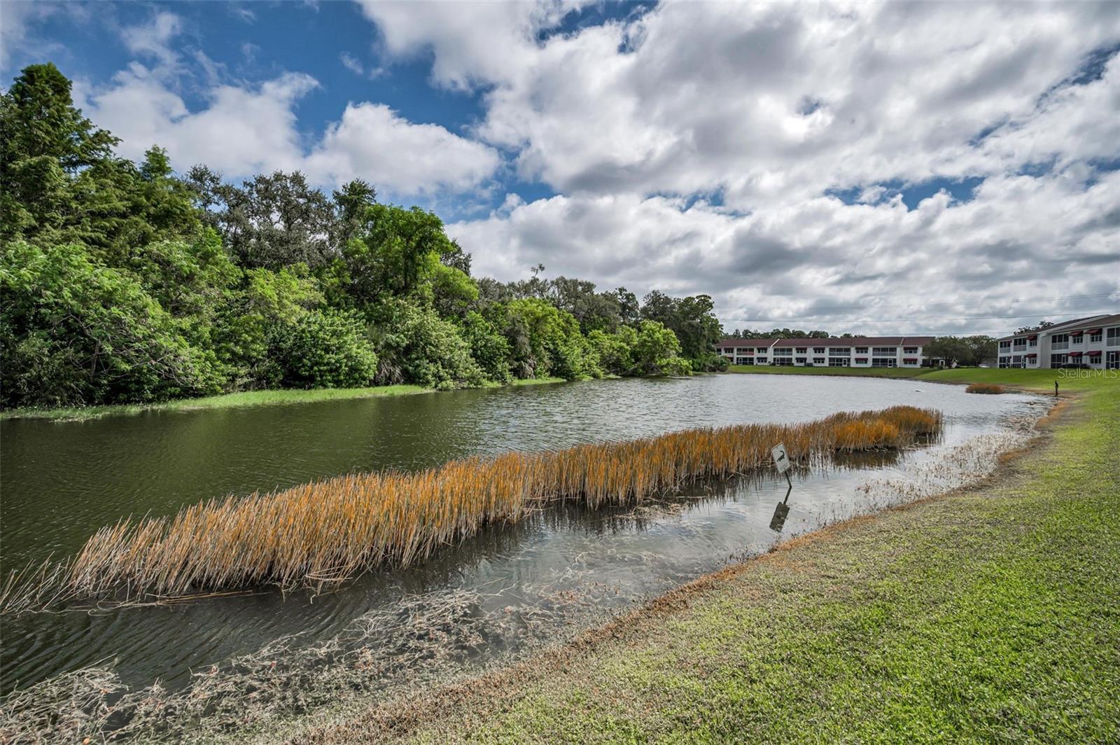 1400 WATER VIEW DR W #104, LARGO, FL — photo 42