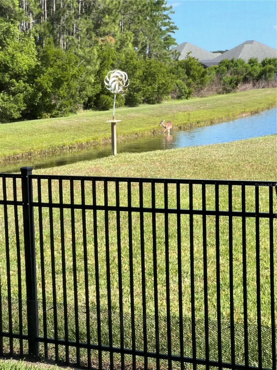 3331 BELLINO BLVD, NEW SMYRNA BEACH, FL — photo 38
