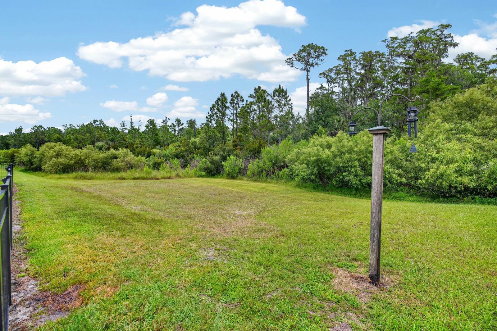 3331 BELLINO BLVD, NEW SMYRNA BEACH, FL — photo 41
