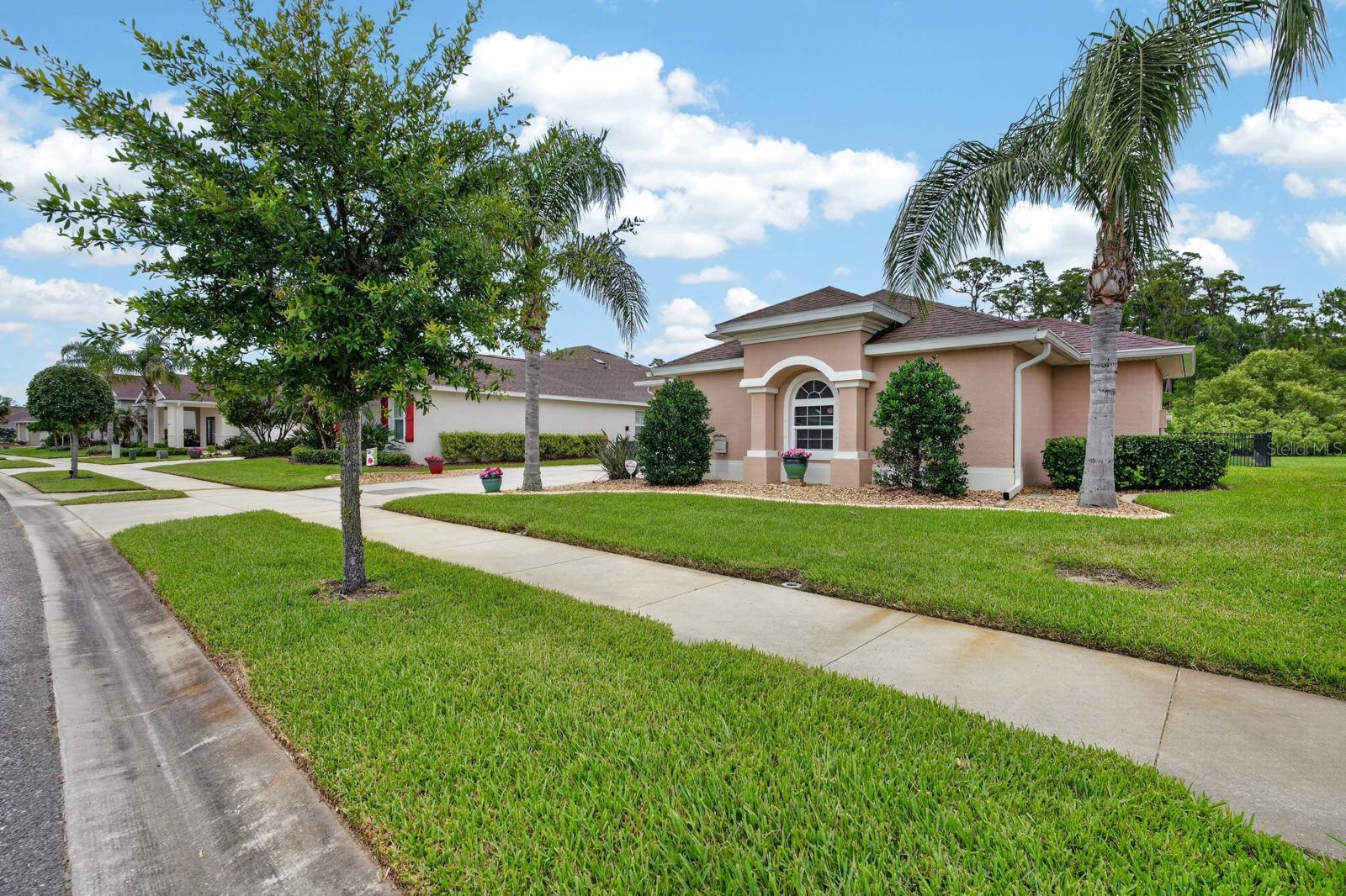 3331 BELLINO BLVD, NEW SMYRNA BEACH, FL — photo 58