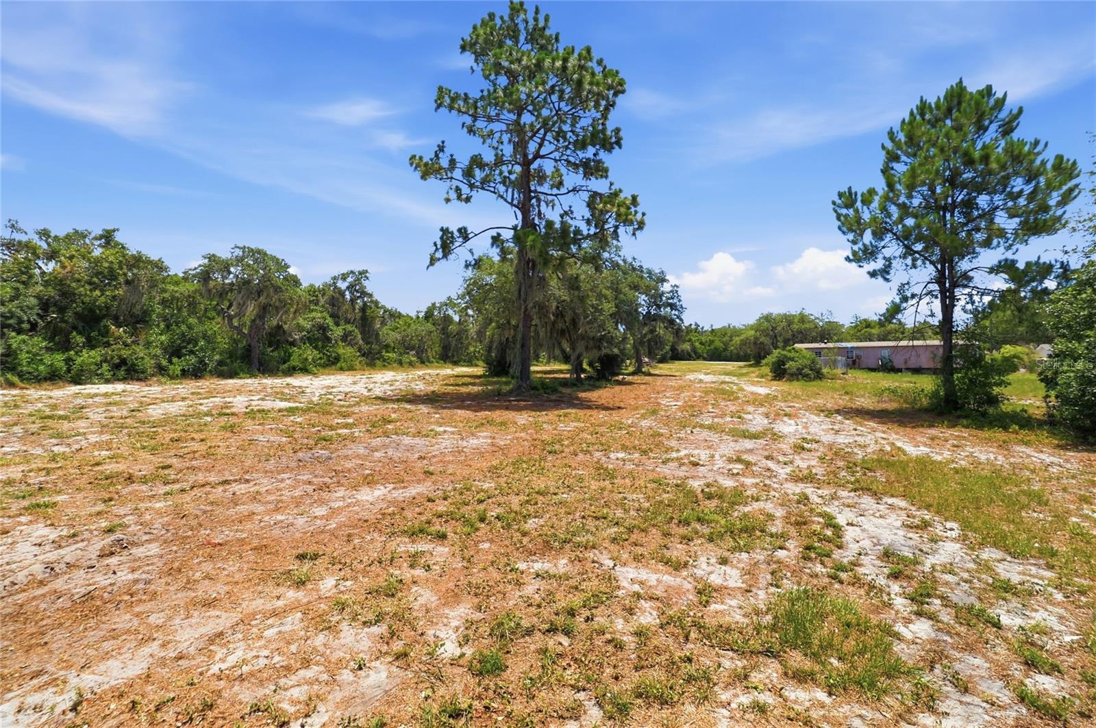 HARTMAN RD, LAKE WALES, FL — photo 10
