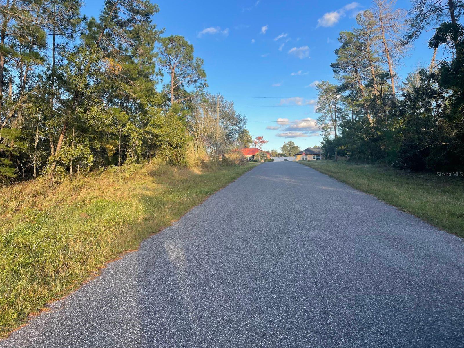0 SW 157TH ST, OCALA, FL — photo 5