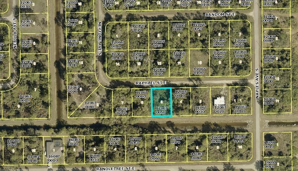1238 RAPHAEL ST E, LEHIGH ACRES, FL